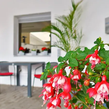 Adoma Hotell Gent
